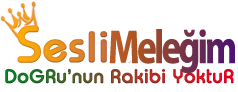 SeSLiMeLeĞiM.Com, SesliChat, SesliSohbet, SesliSiteler